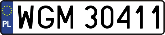 WGM30411