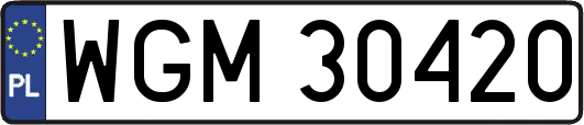 WGM30420