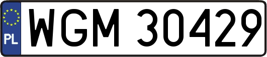 WGM30429