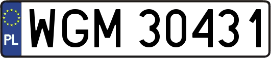 WGM30431