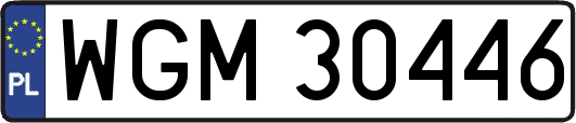 WGM30446