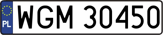 WGM30450