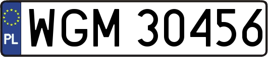 WGM30456