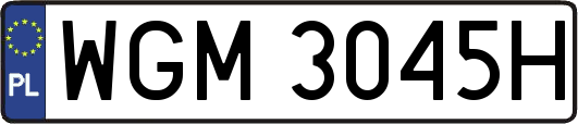 WGM3045H