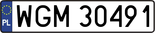 WGM30491
