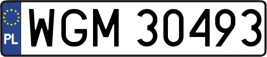WGM30493