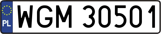 WGM30501