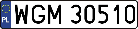 WGM30510
