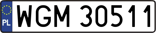 WGM30511