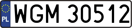 WGM30512