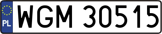 WGM30515
