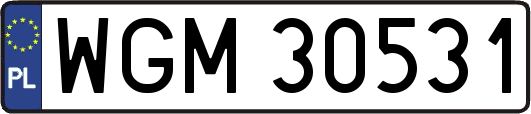 WGM30531