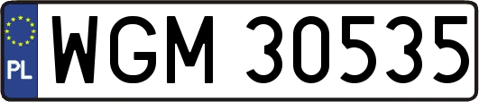 WGM30535