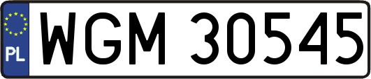 WGM30545