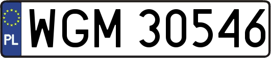 WGM30546
