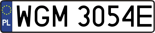WGM3054E