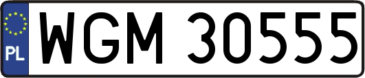 WGM30555