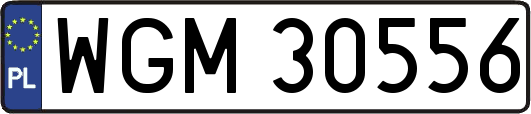 WGM30556