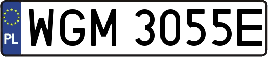WGM3055E