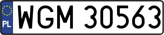 WGM30563