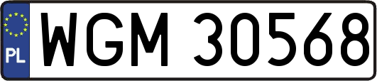 WGM30568