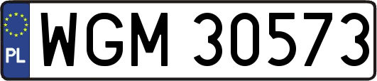 WGM30573