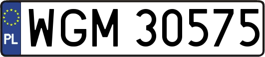 WGM30575