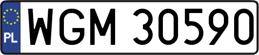 WGM30590