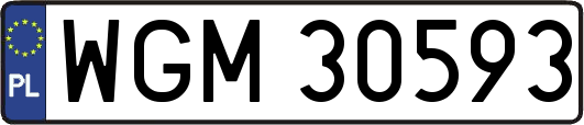 WGM30593