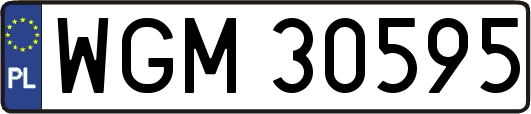 WGM30595