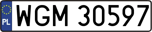 WGM30597