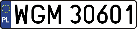 WGM30601