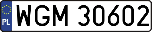 WGM30602