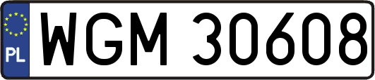WGM30608