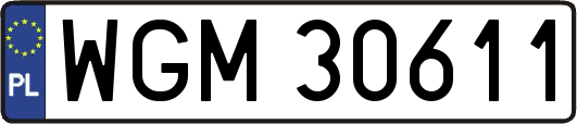 WGM30611
