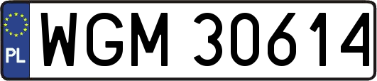 WGM30614
