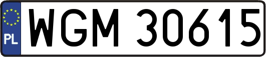 WGM30615