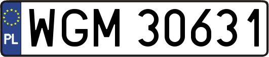 WGM30631