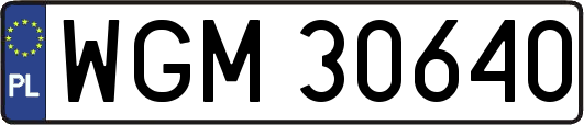 WGM30640