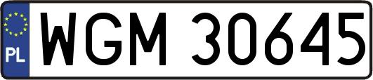 WGM30645