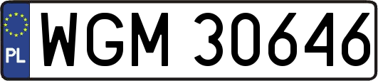 WGM30646