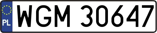 WGM30647