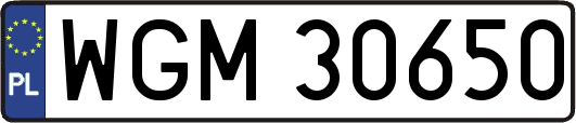 WGM30650