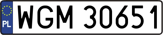 WGM30651