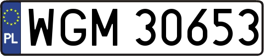 WGM30653