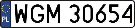 WGM30654
