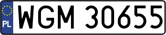 WGM30655