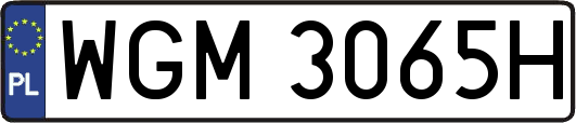 WGM3065H