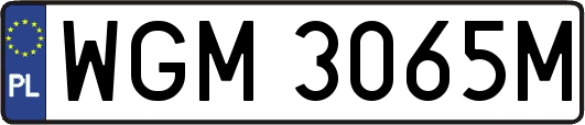 WGM3065M
