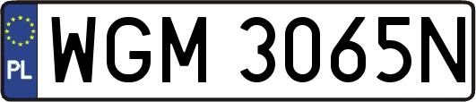WGM3065N